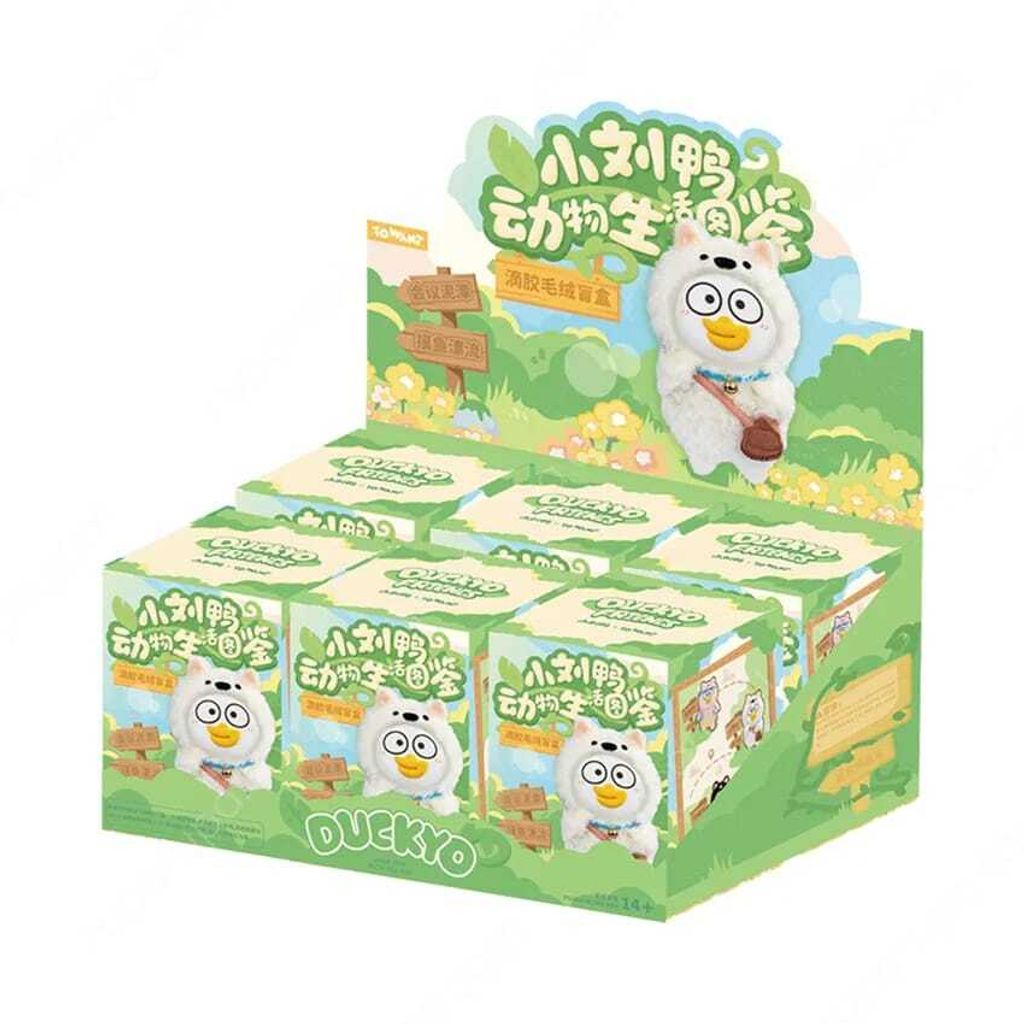 WhatsApp Image 2026-01-29 at 1.17.50 PM (1)