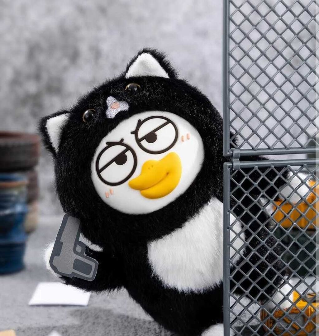 WhatsApp Image 2026-01-29 at 1.17.49 PM