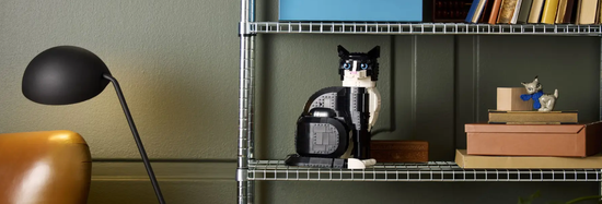 Ideas 系列 賓士貓 | 自遊玩玩具實驗室-屏東樂高積木專賣店