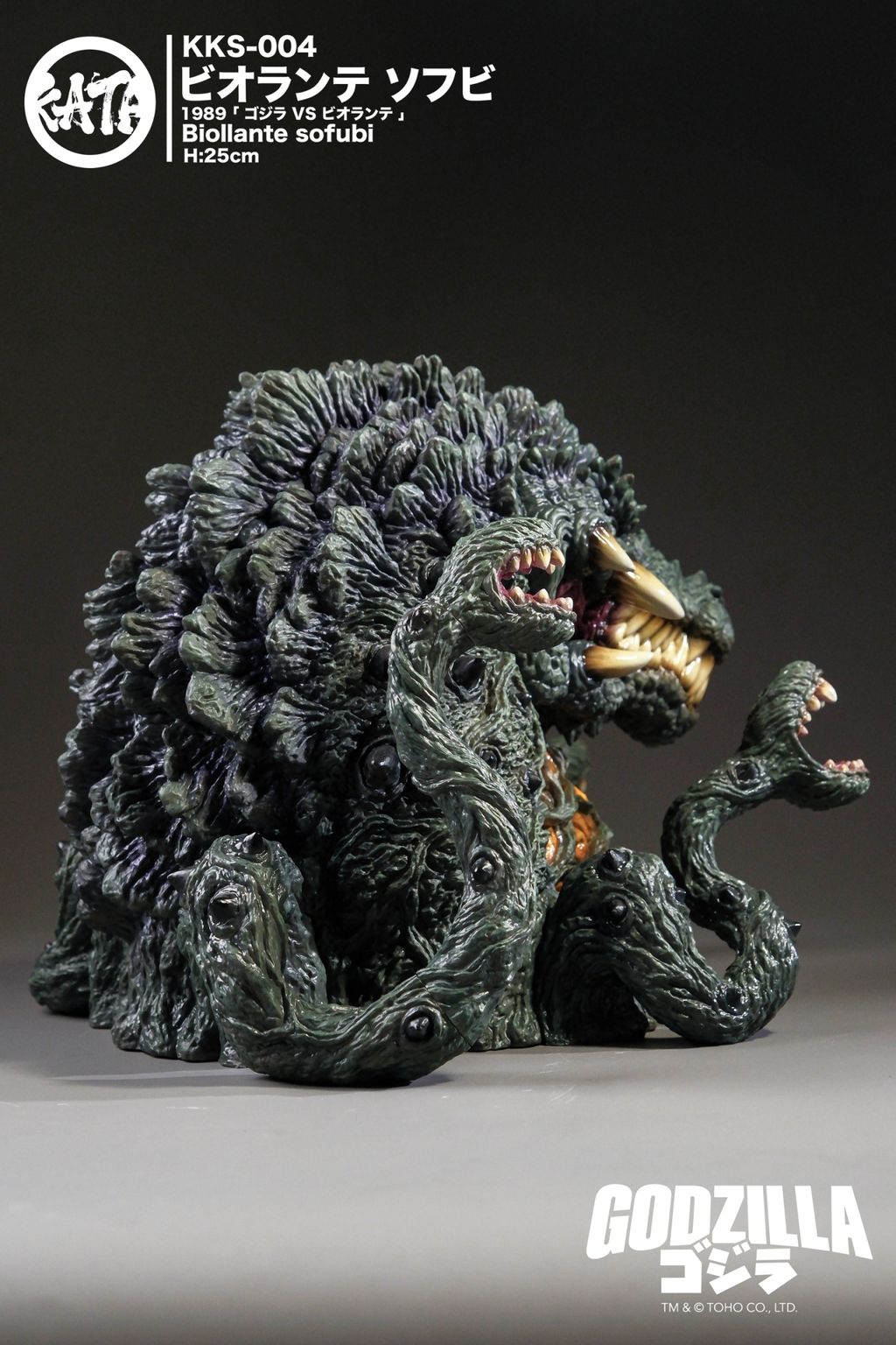 LINE_ALBUM_KKS-004 ビオランテ 25cm_260303_6