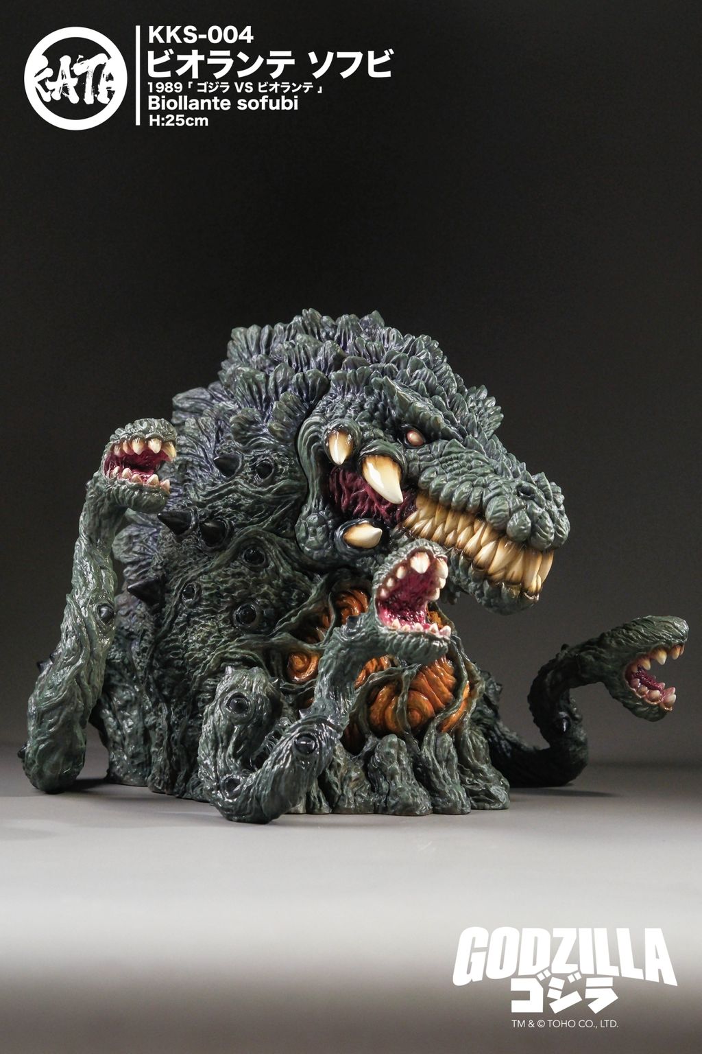 LINE_ALBUM_KKS-004 ビオランテ 25cm_260303_1