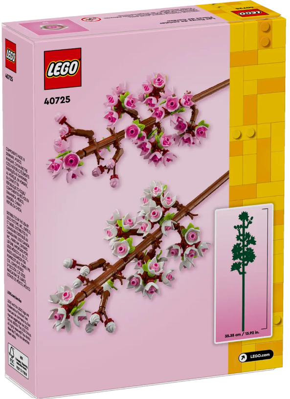 407251