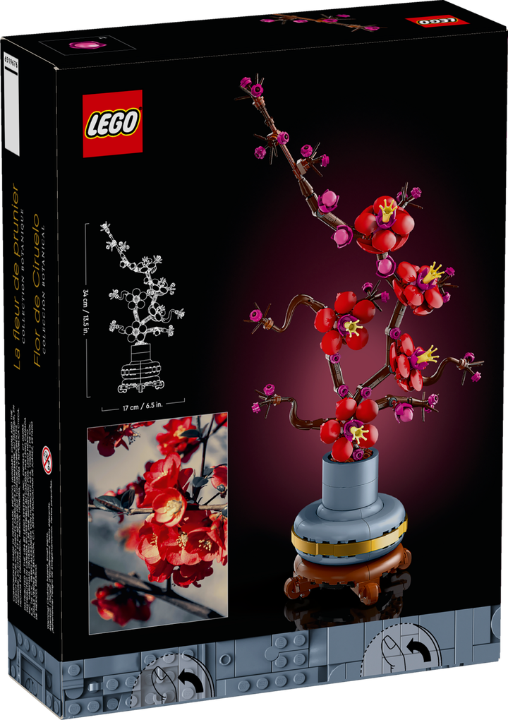 10369_Box5_v39
