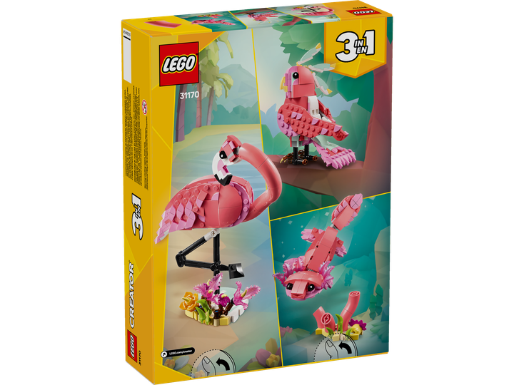 31170_Box5_v39