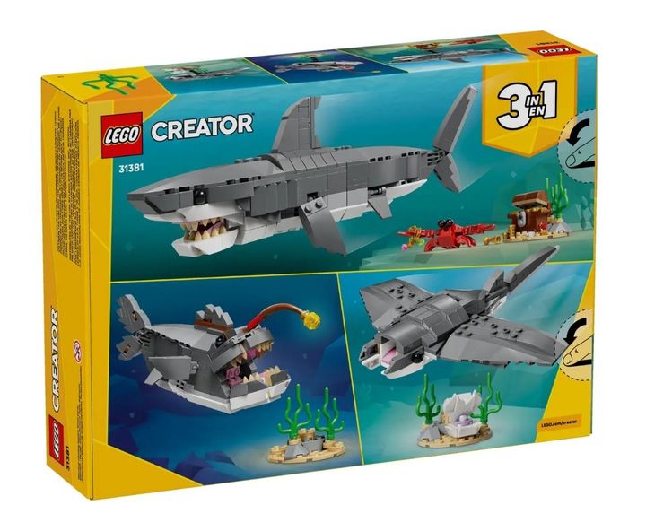 31381_5
