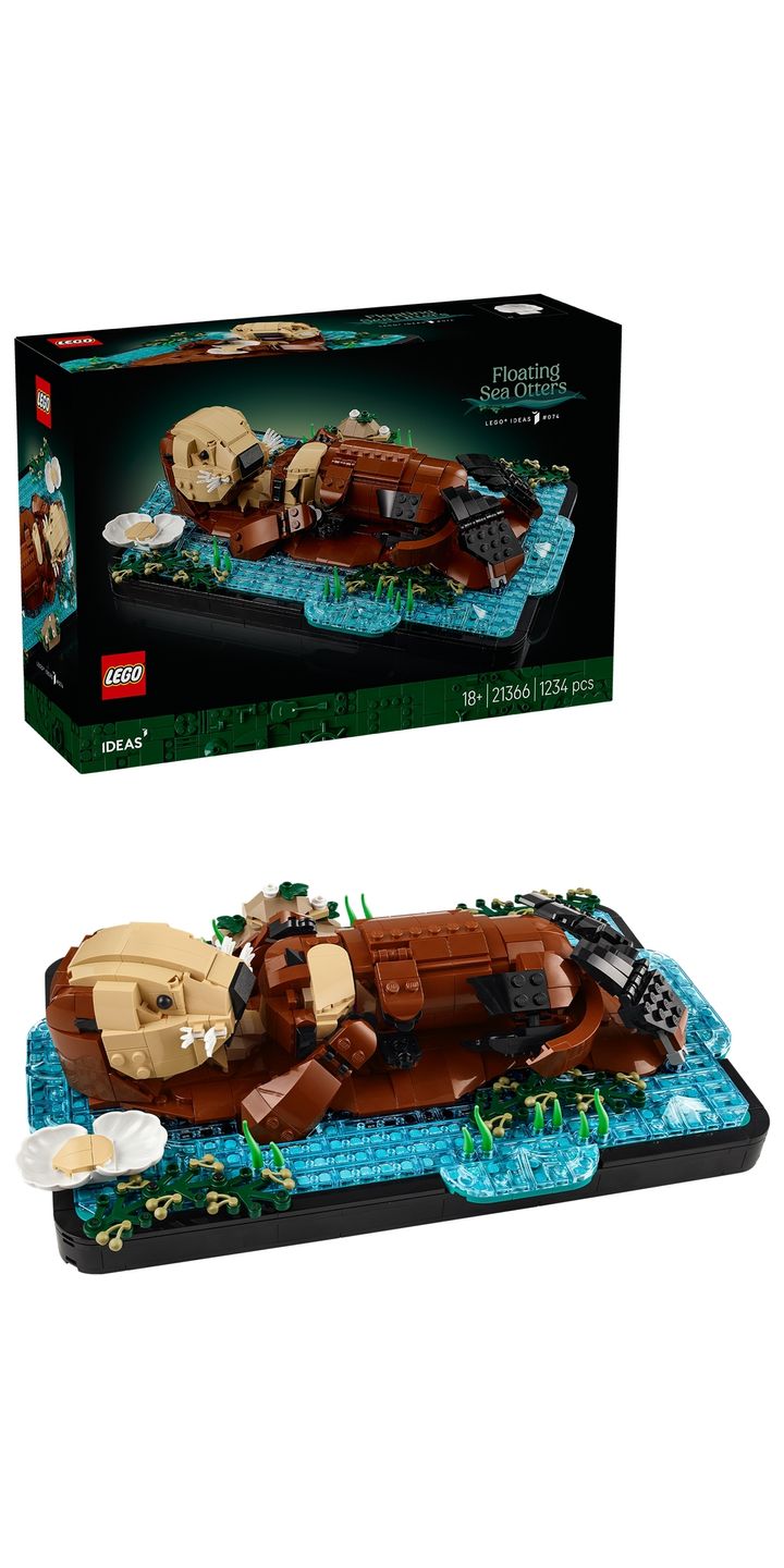 21366_boxprod_v29_pos