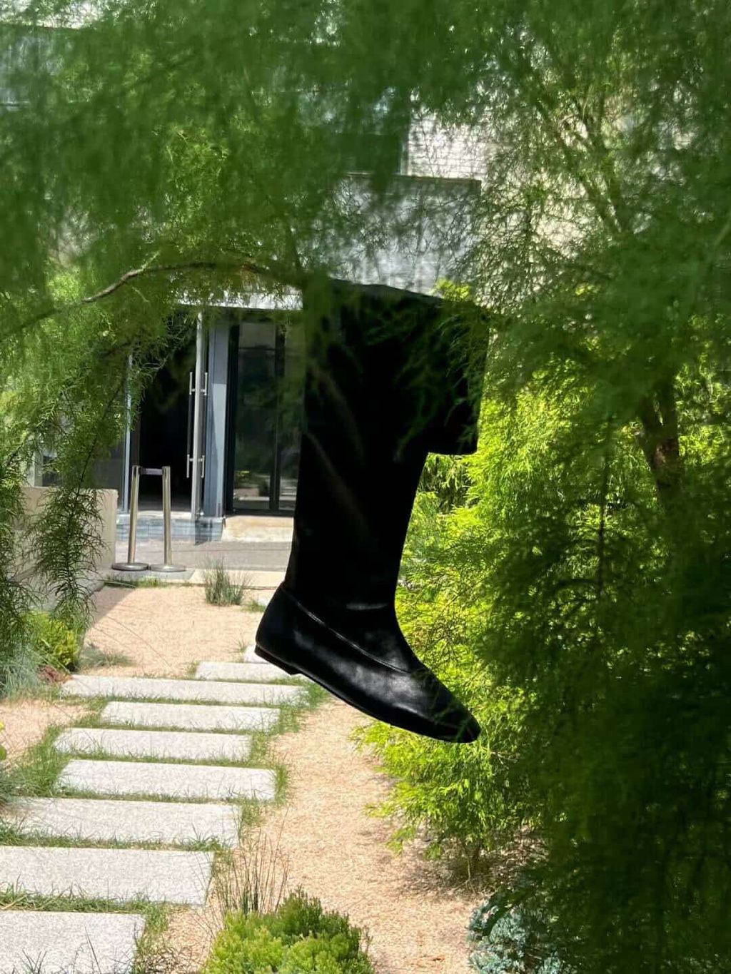 image_693A2597-0918-4C87-9C4F-45DB4E502107_1774442160