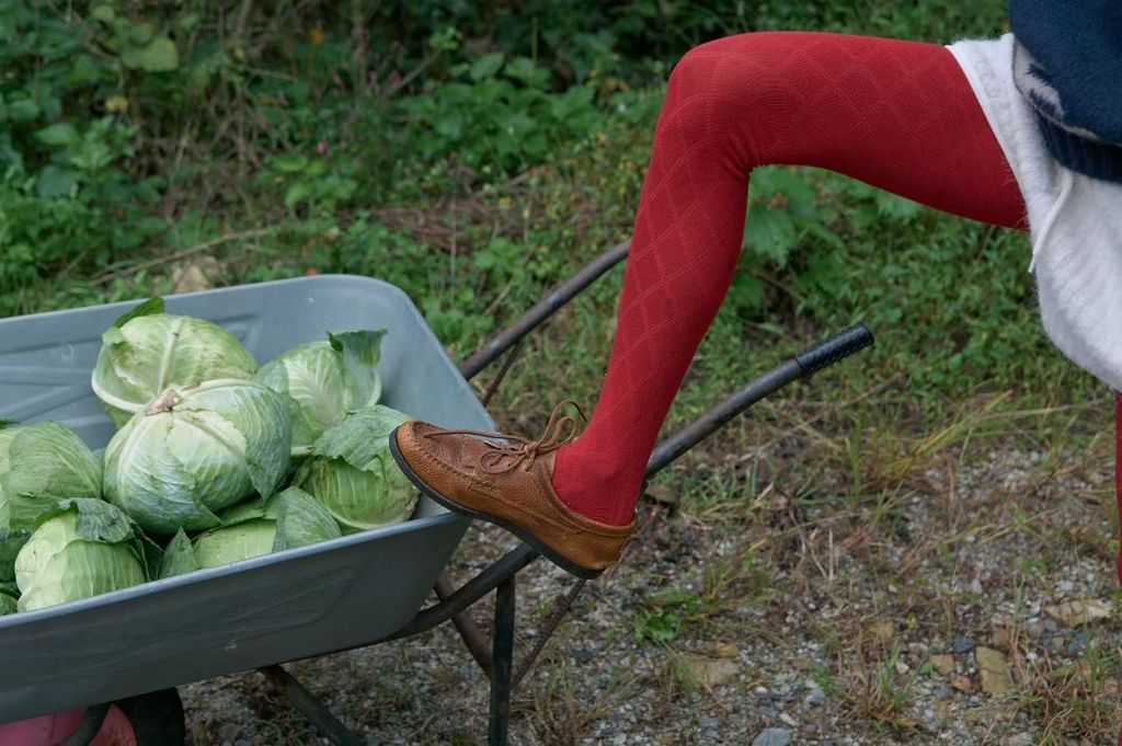 image_3FB903ED-408D-4789-BB65-FE3DEF09A421_1762699946