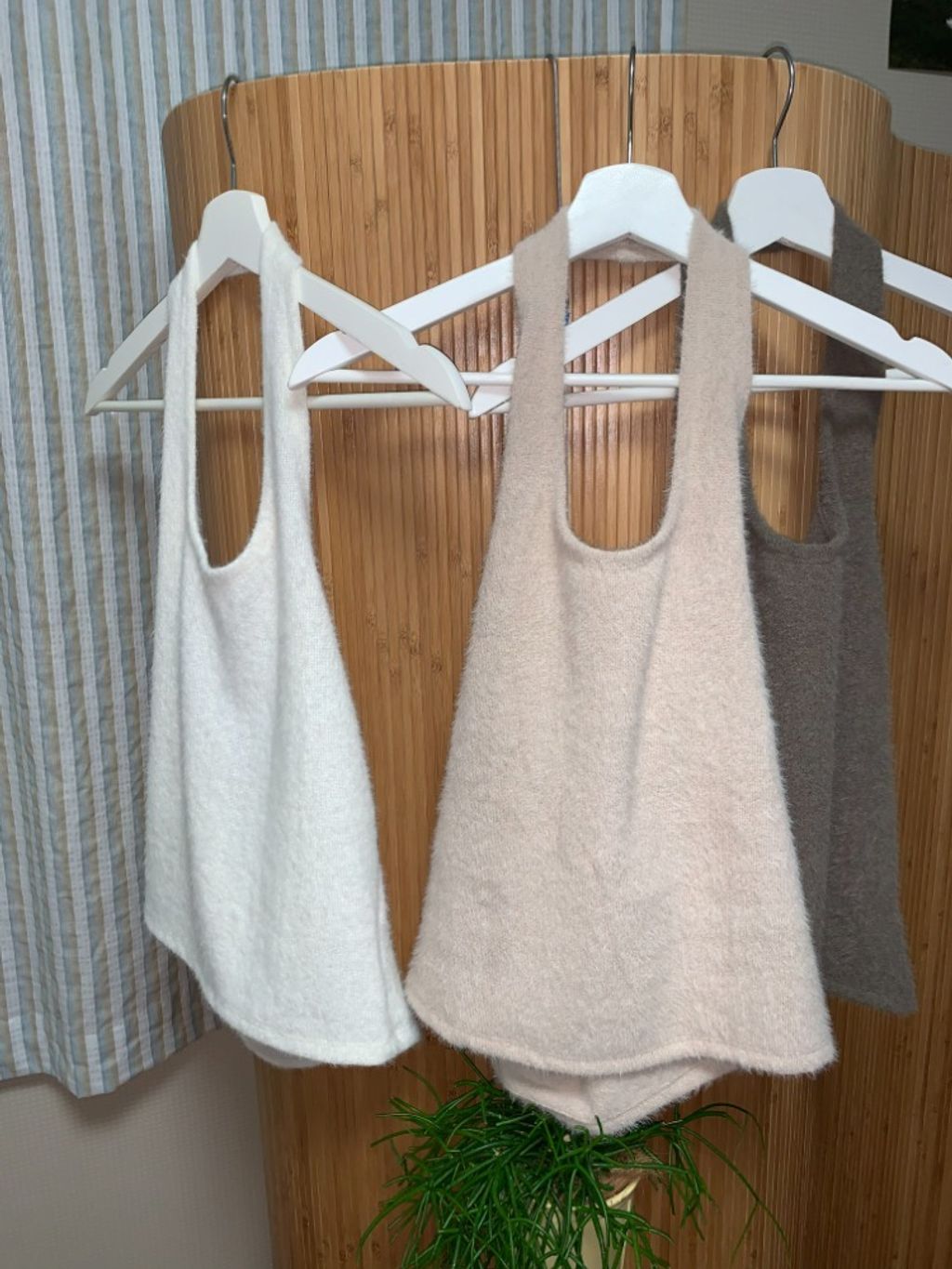 image_FA11E9DA-ED7F-4BC2-A581-82285317D7E1_1766539828