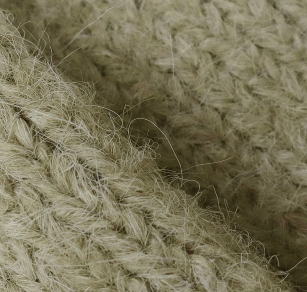 image_E0B9ADE9-9489-4B19-9F3B-CFB093C8EF8B_1767870056