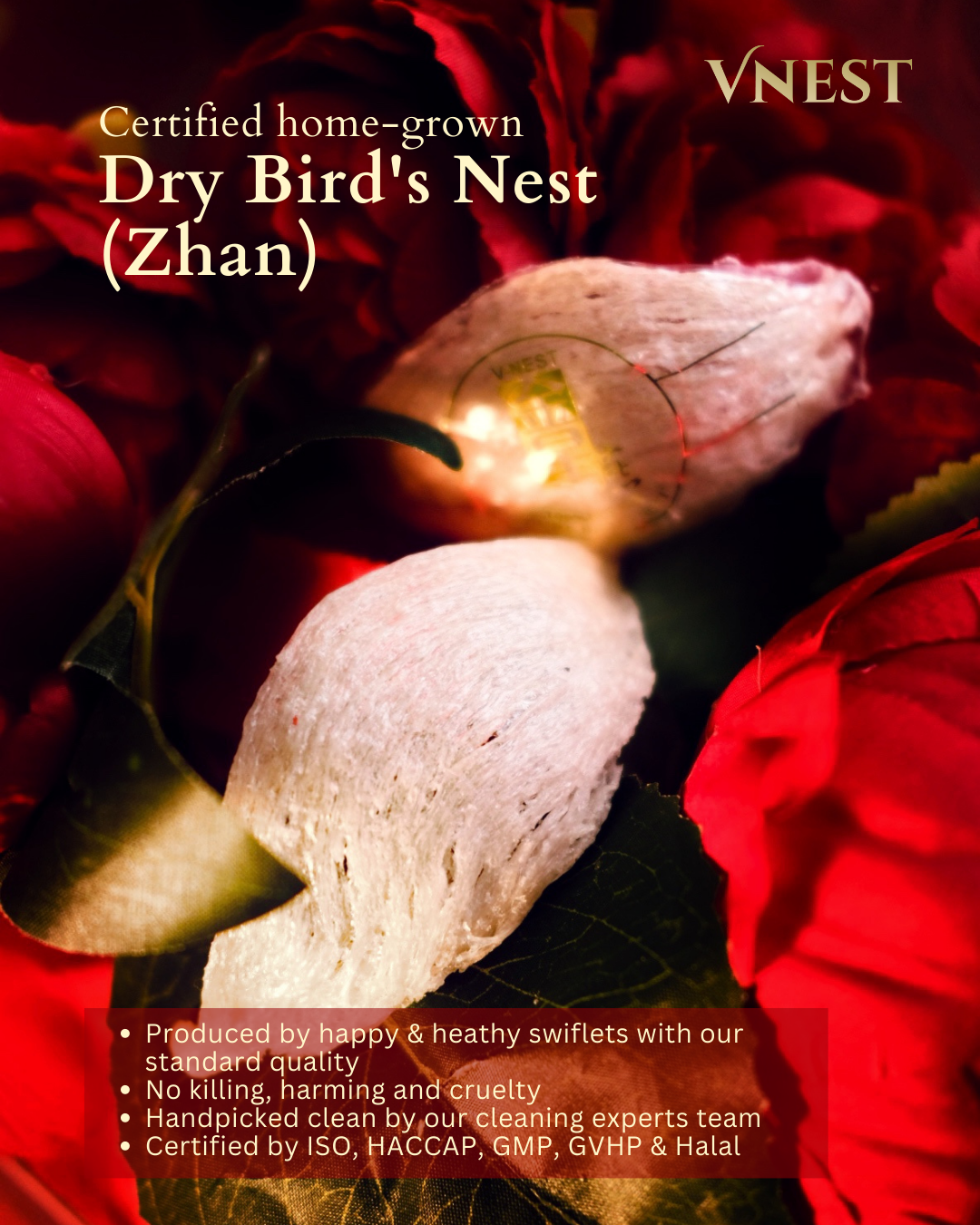 vnest dry bird nest