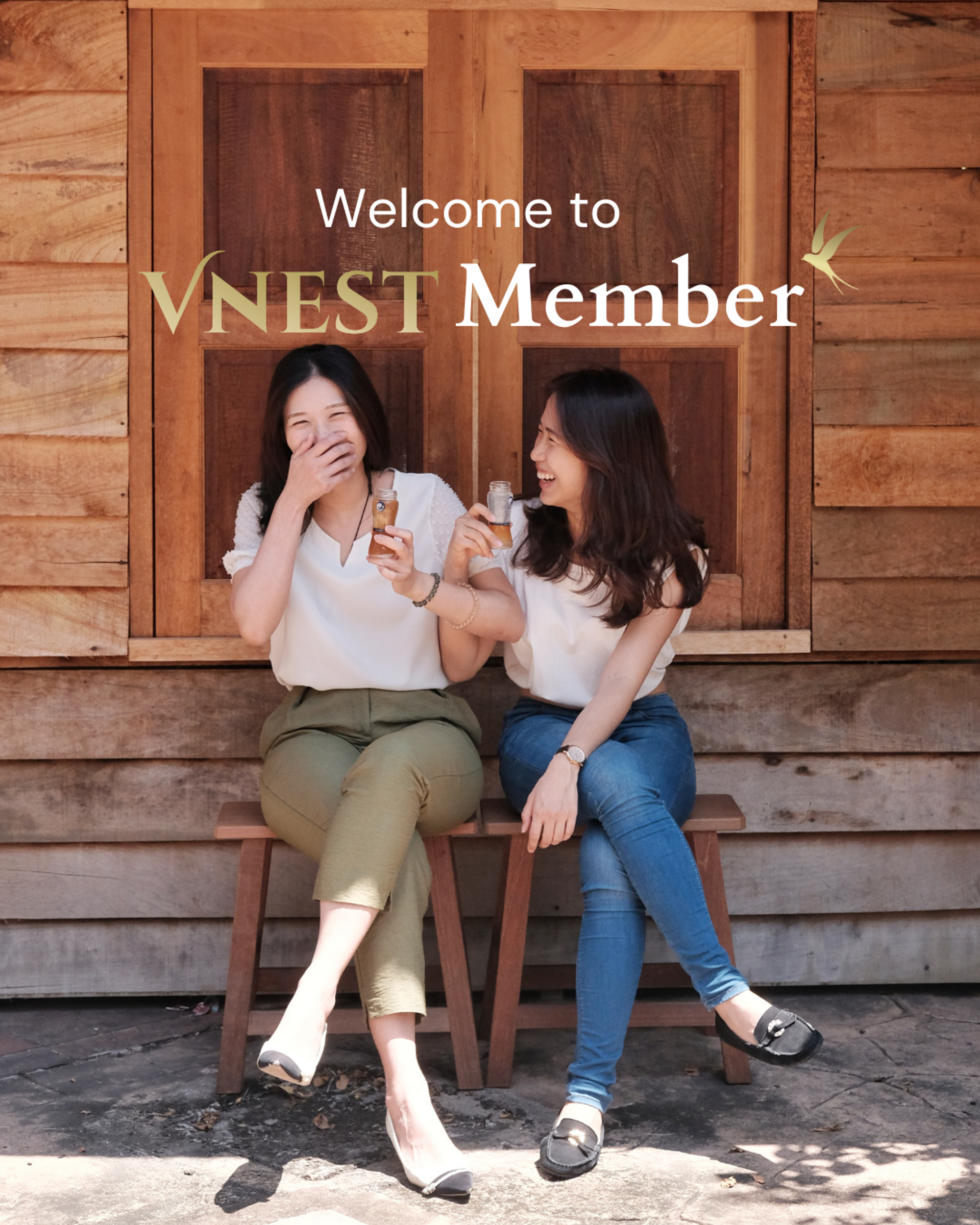 VNest | 