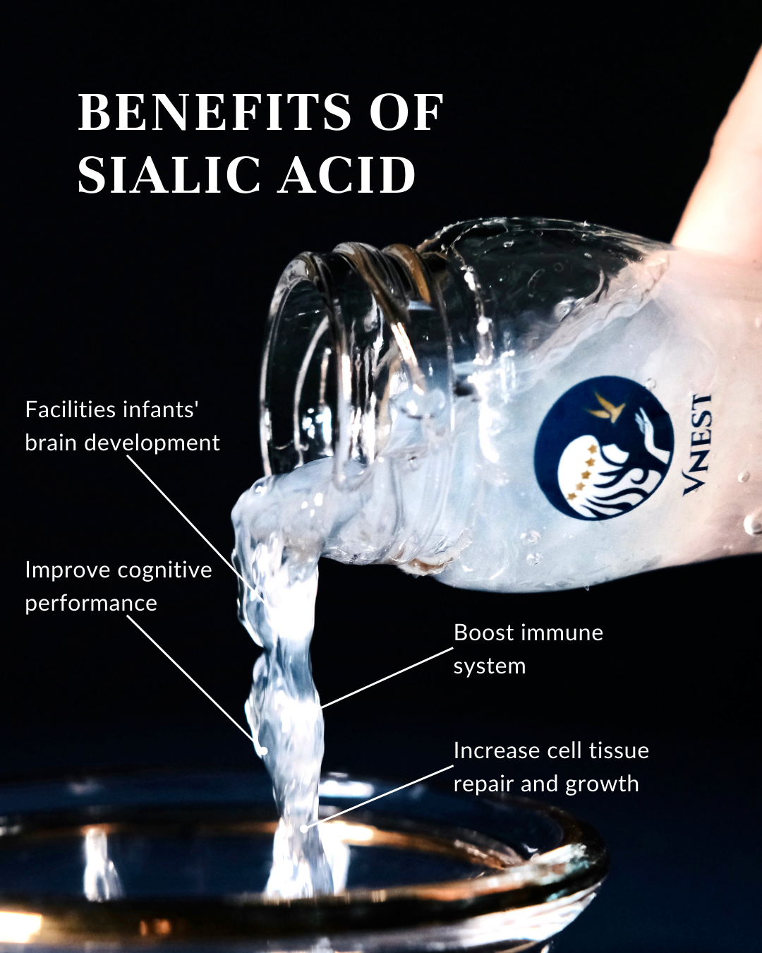 vnest bird nest - sialic acid