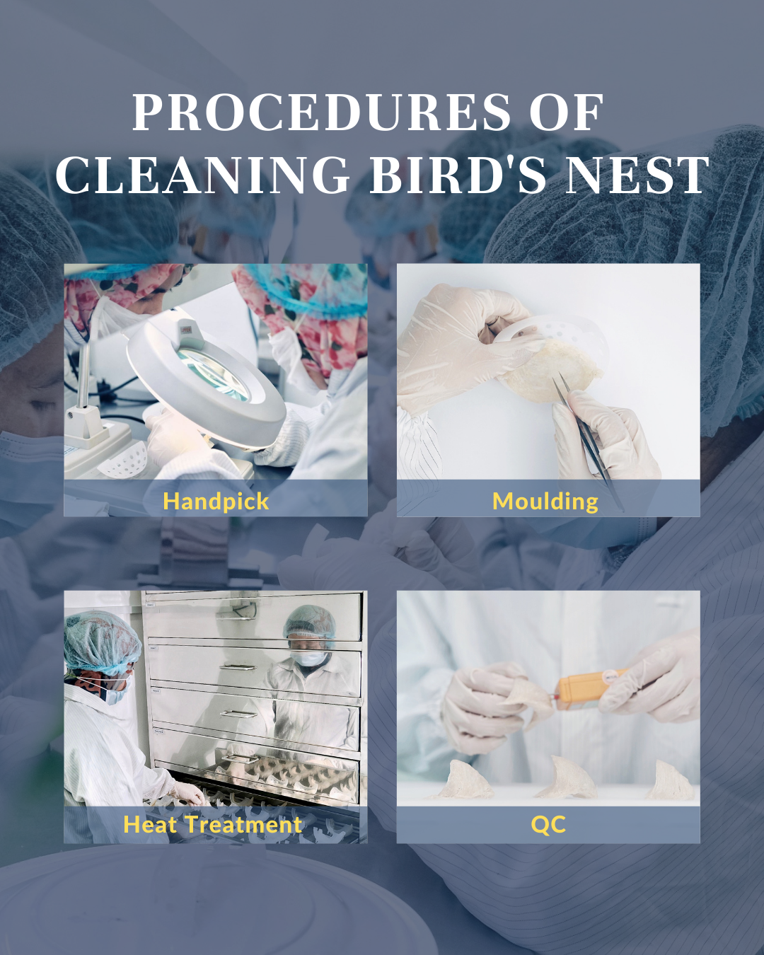 Procedures of  cleaning bird's nest