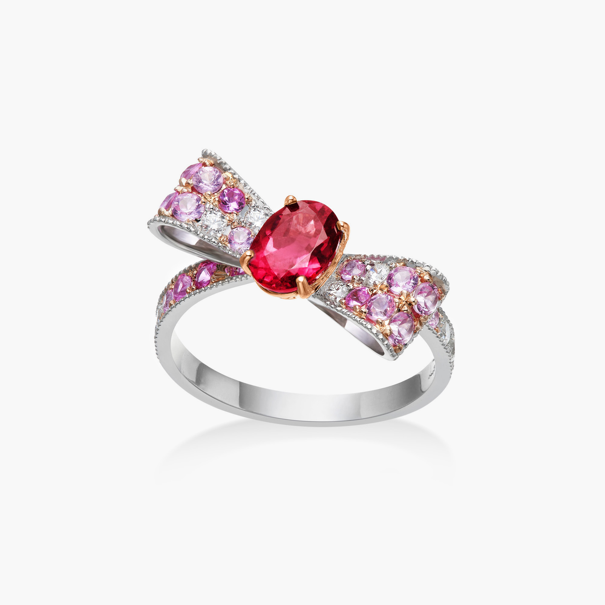 圖片_20260203104219_684_3