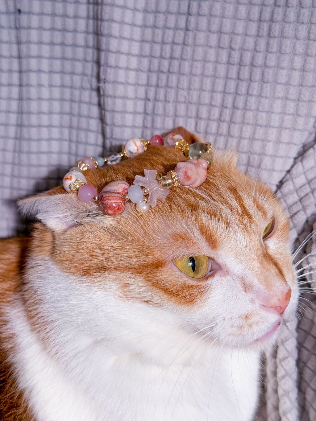 image_3BCAF3EB-3955-4CF3-A826-29EB0A7765C3_1772976779