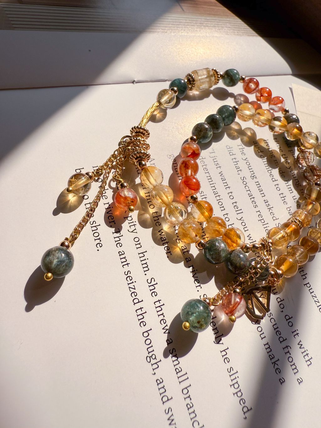 IMG_6063-1744042215078