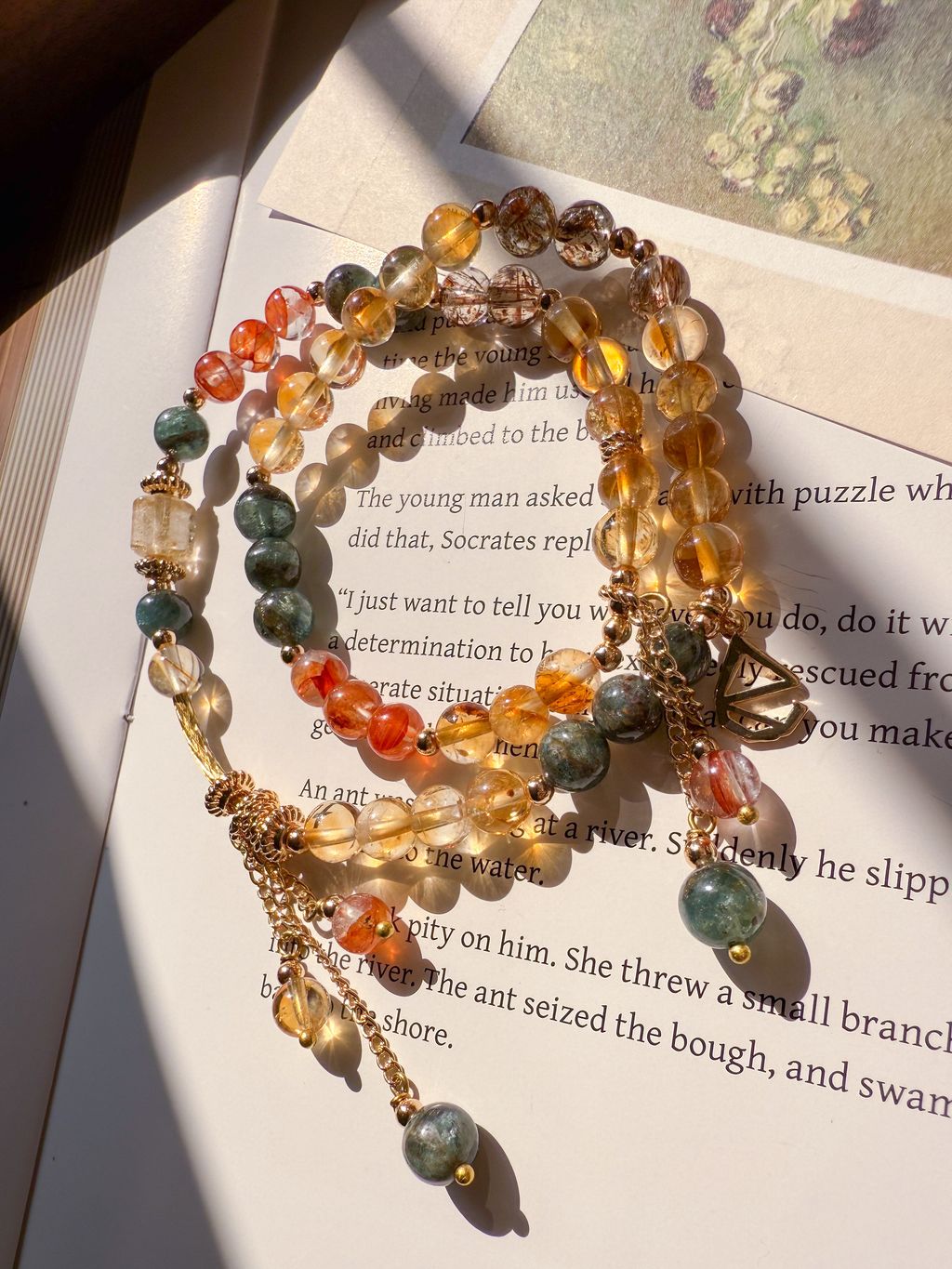 IMG_6065-1744042215069