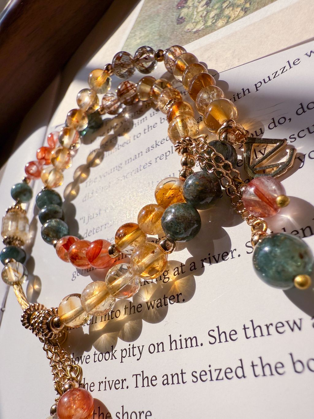 IMG_6070-1744042215093