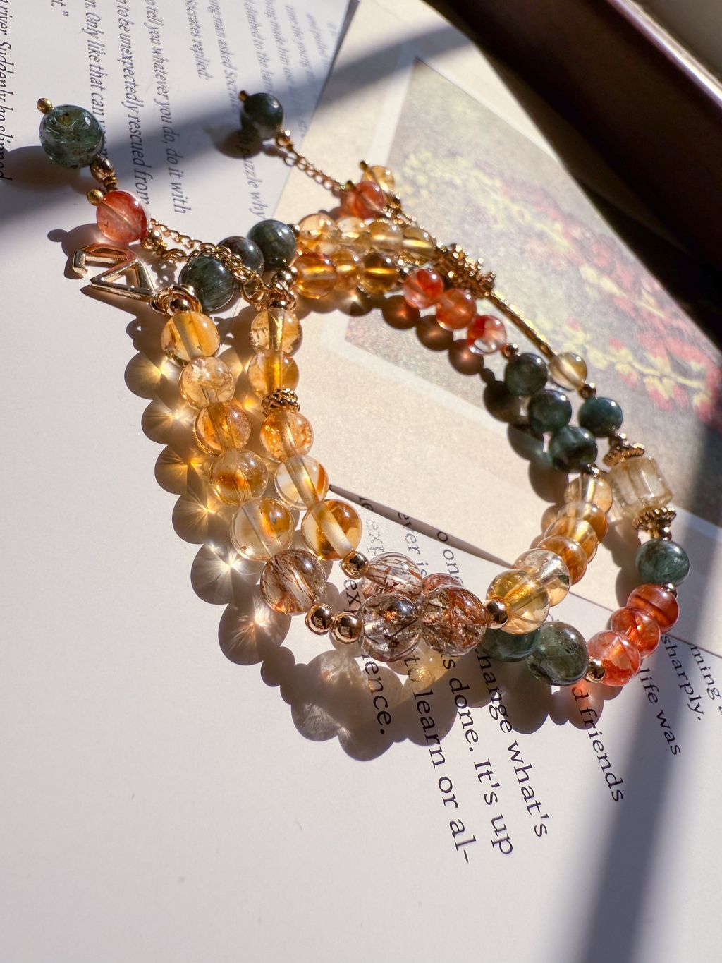 IMG_6076-1744042215067