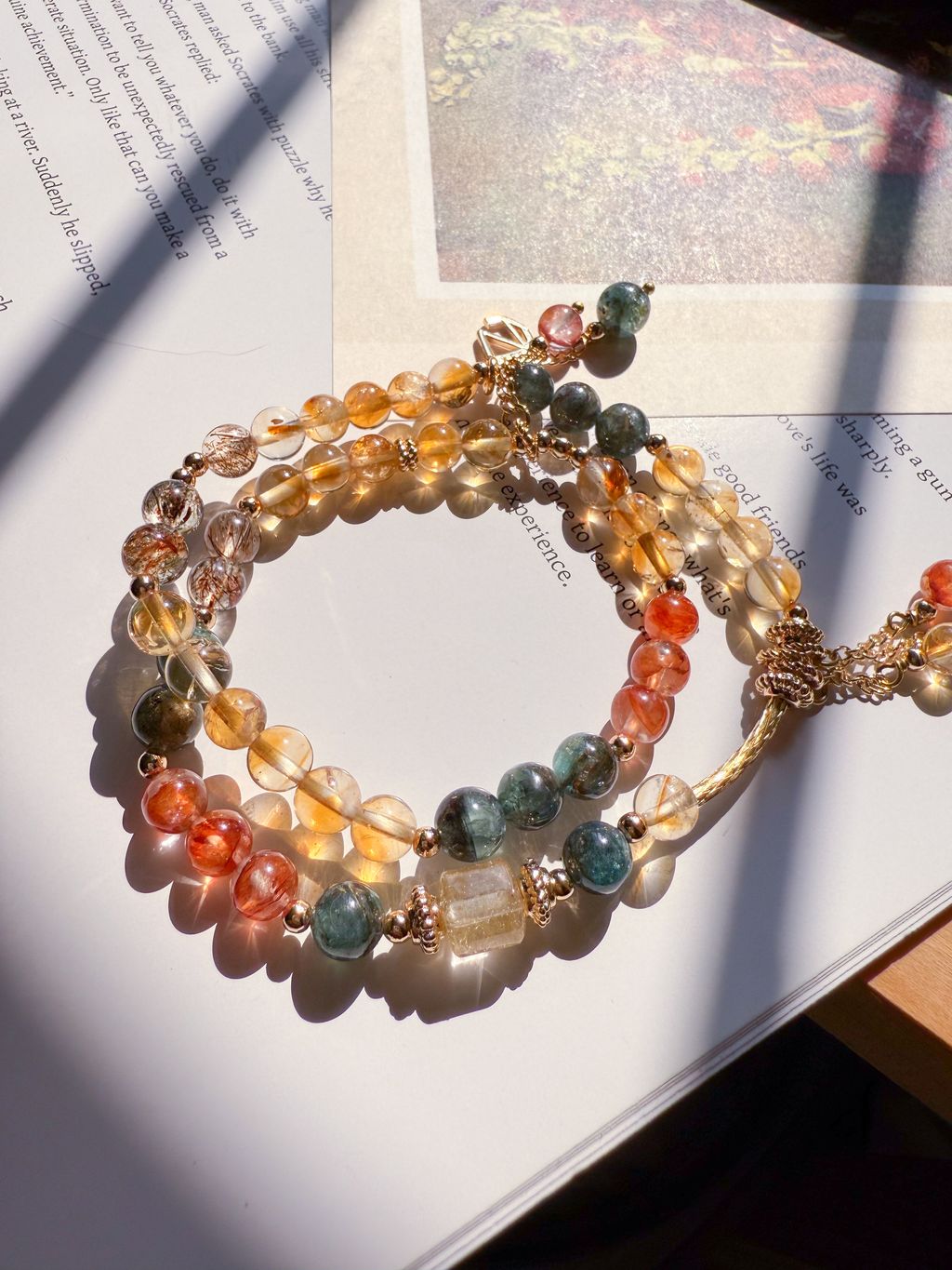 IMG_6080-1744042215048