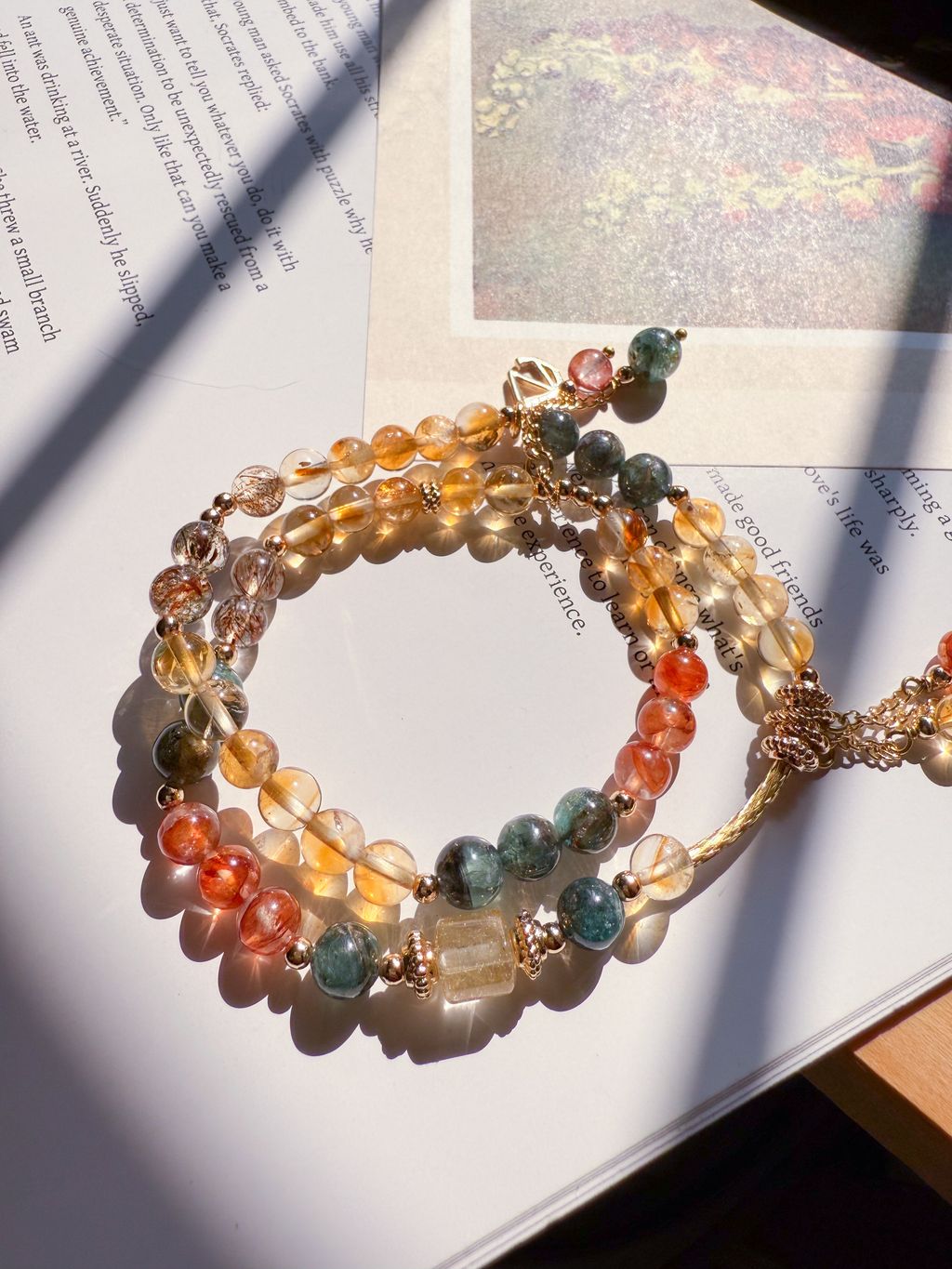 IMG_6079-1744042215050