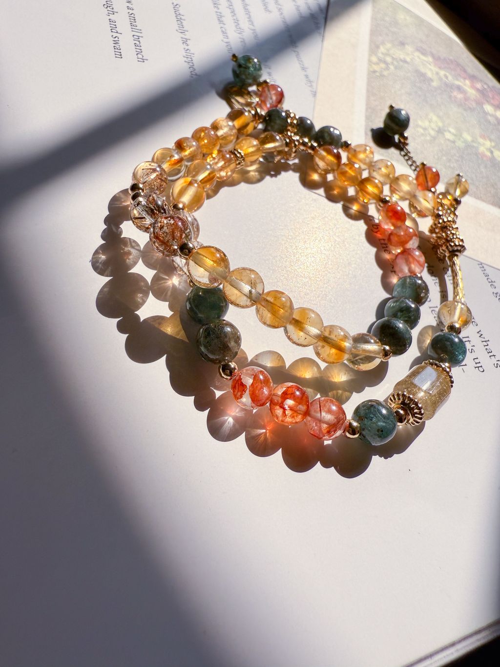 IMG_6077-1744042215082