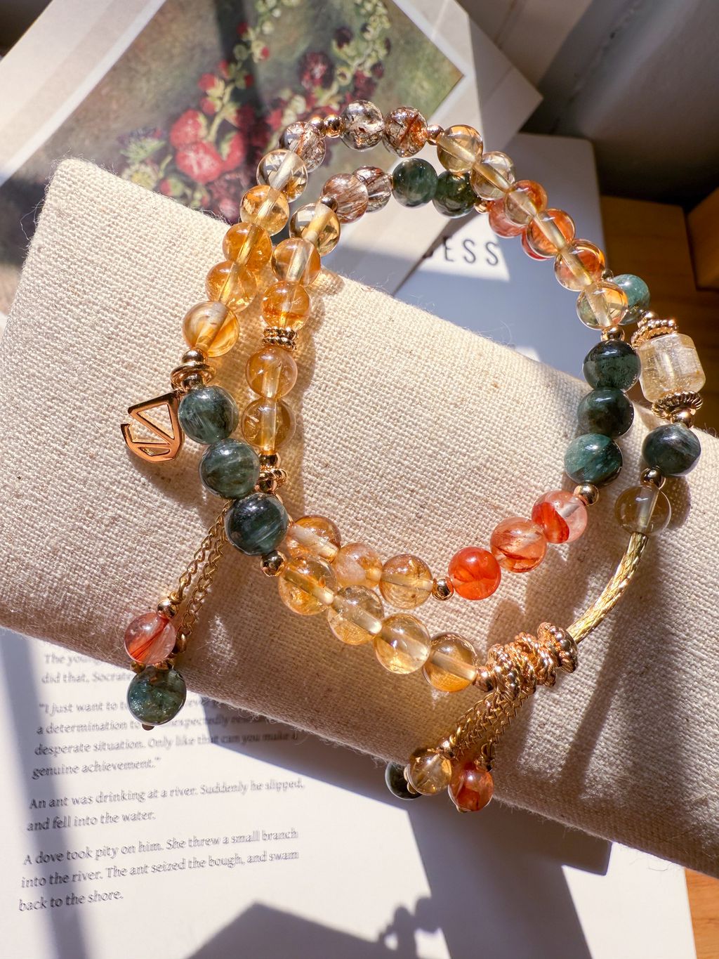 IMG_6089-1744042215088