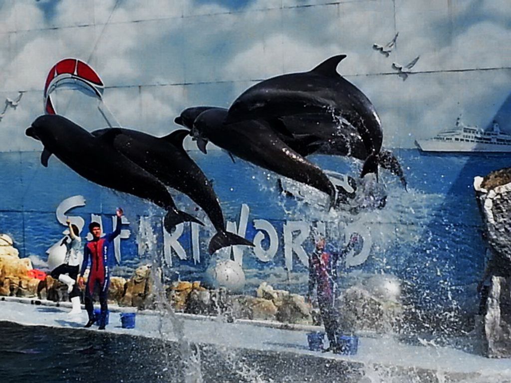 Bangkok_marine Park 7