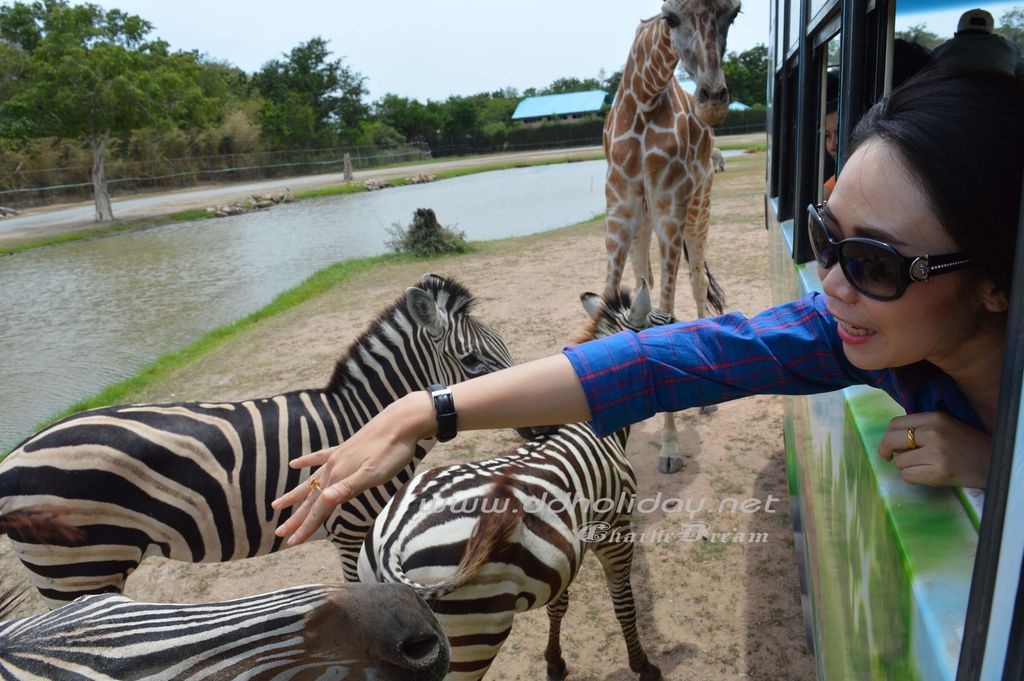 kan_safari 10