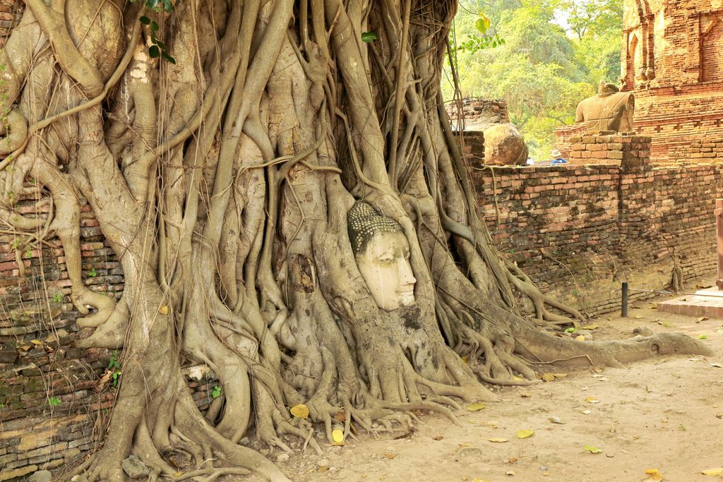 Ayuttaya_wat_maha_that 2