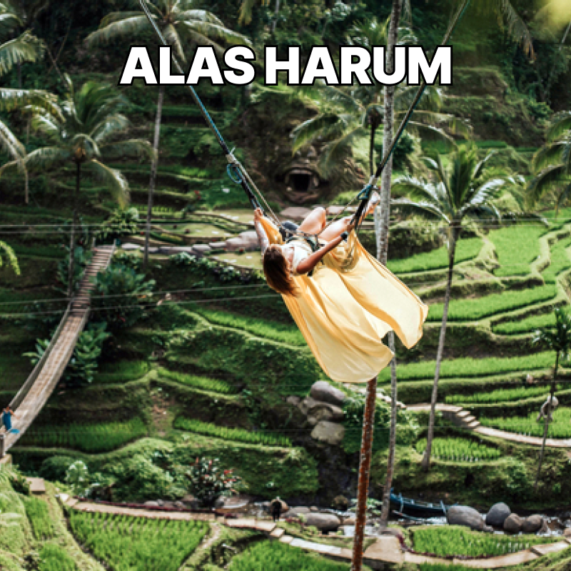 ALAS HARUM