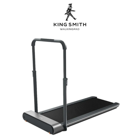 KINGSMITH R1