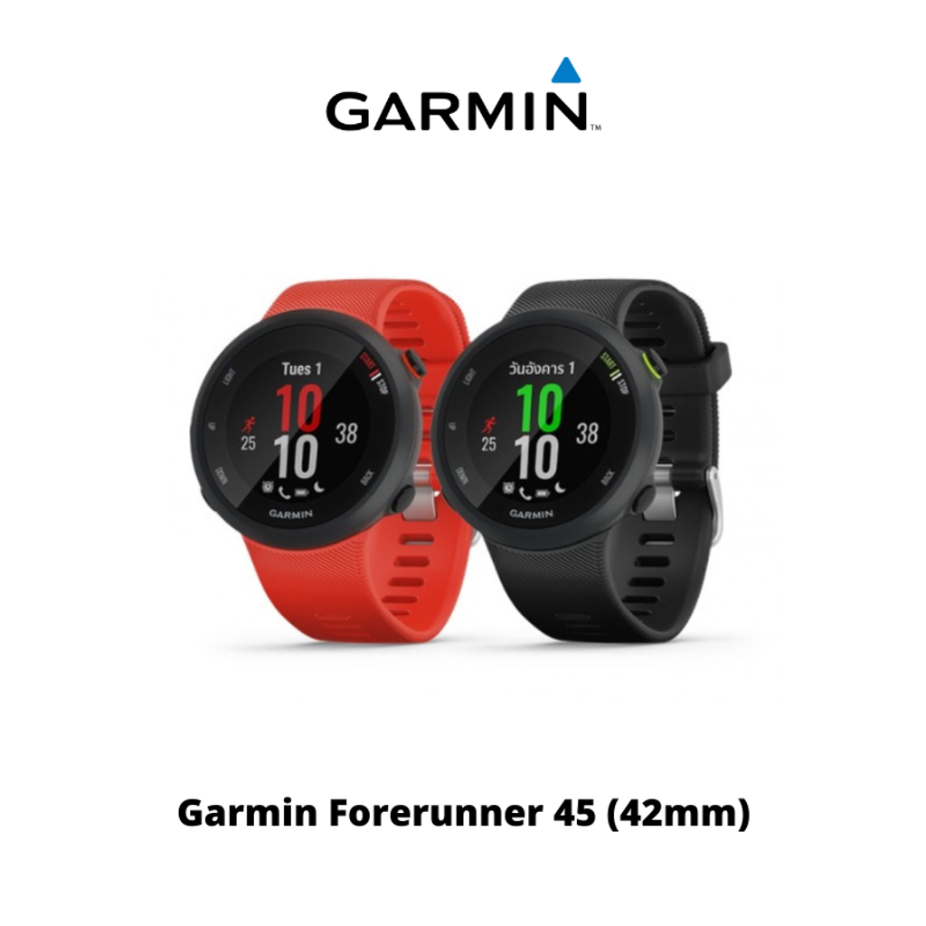 garmin 45 