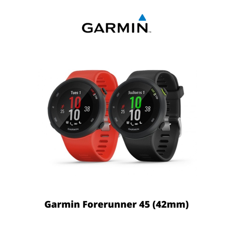 garmin 45 