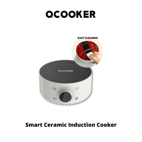induction cooker (2)