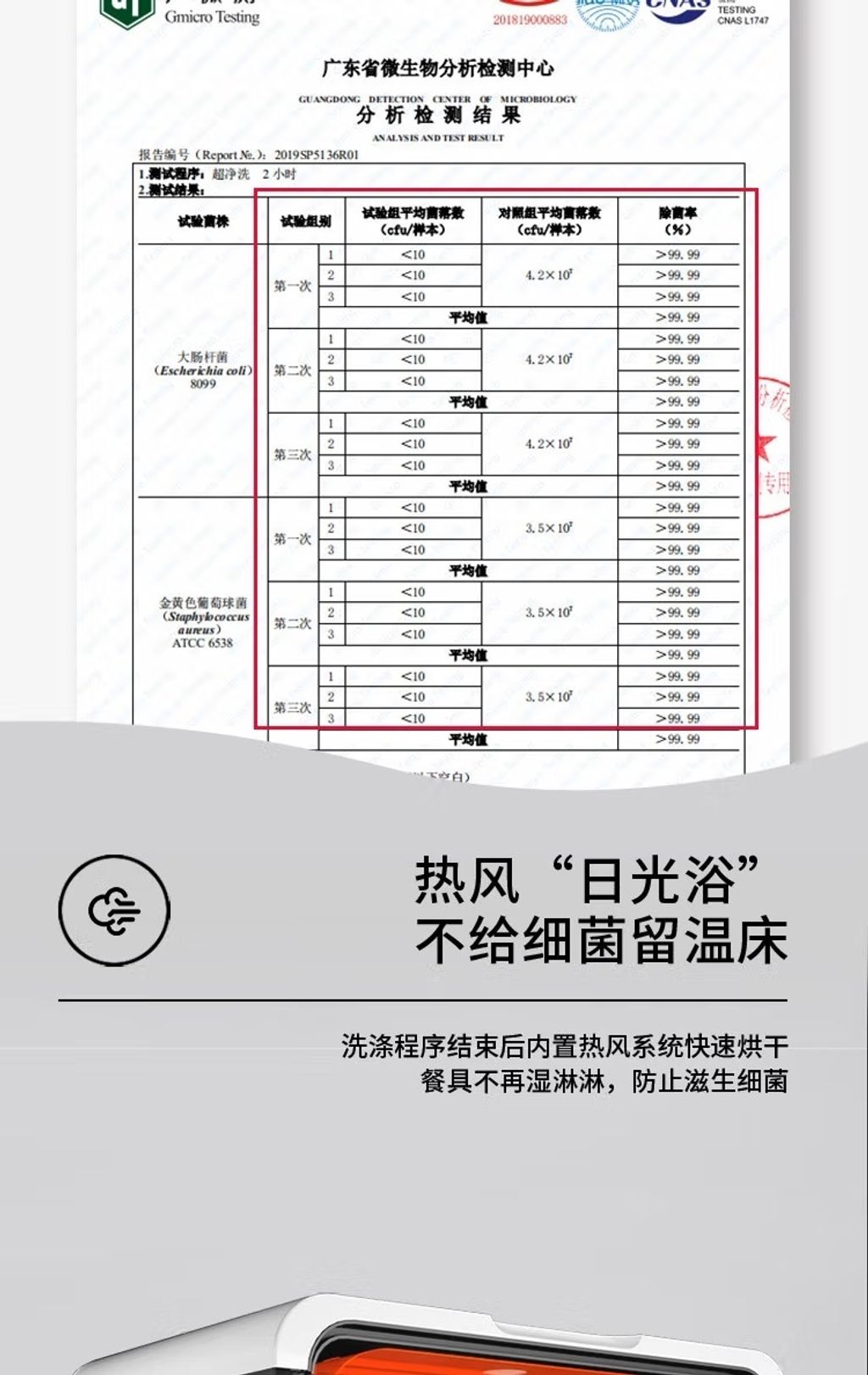 sg-11134202-22090-di5y08h662hvd9