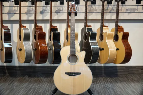 long zong 面雲 側楓bk