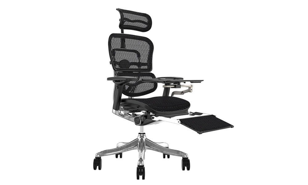 Atwood Ergohuman Plus Elite Black Mesh Chair 