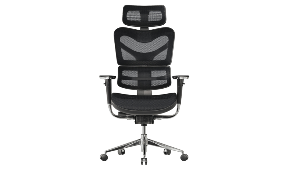 Ergomeister FAEZ5ERG Ergonomic Office Chair- 5 Series 