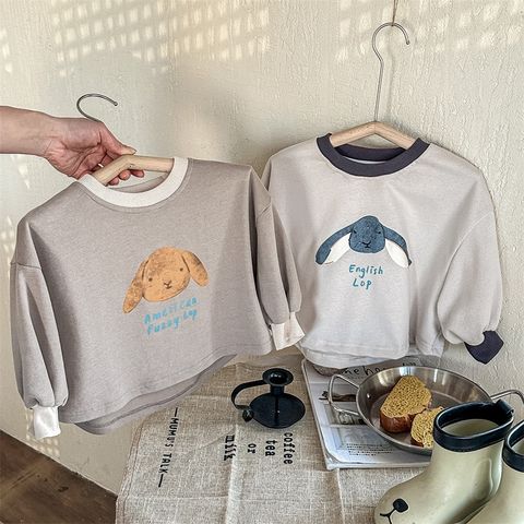 IMG_8381-1730924224051