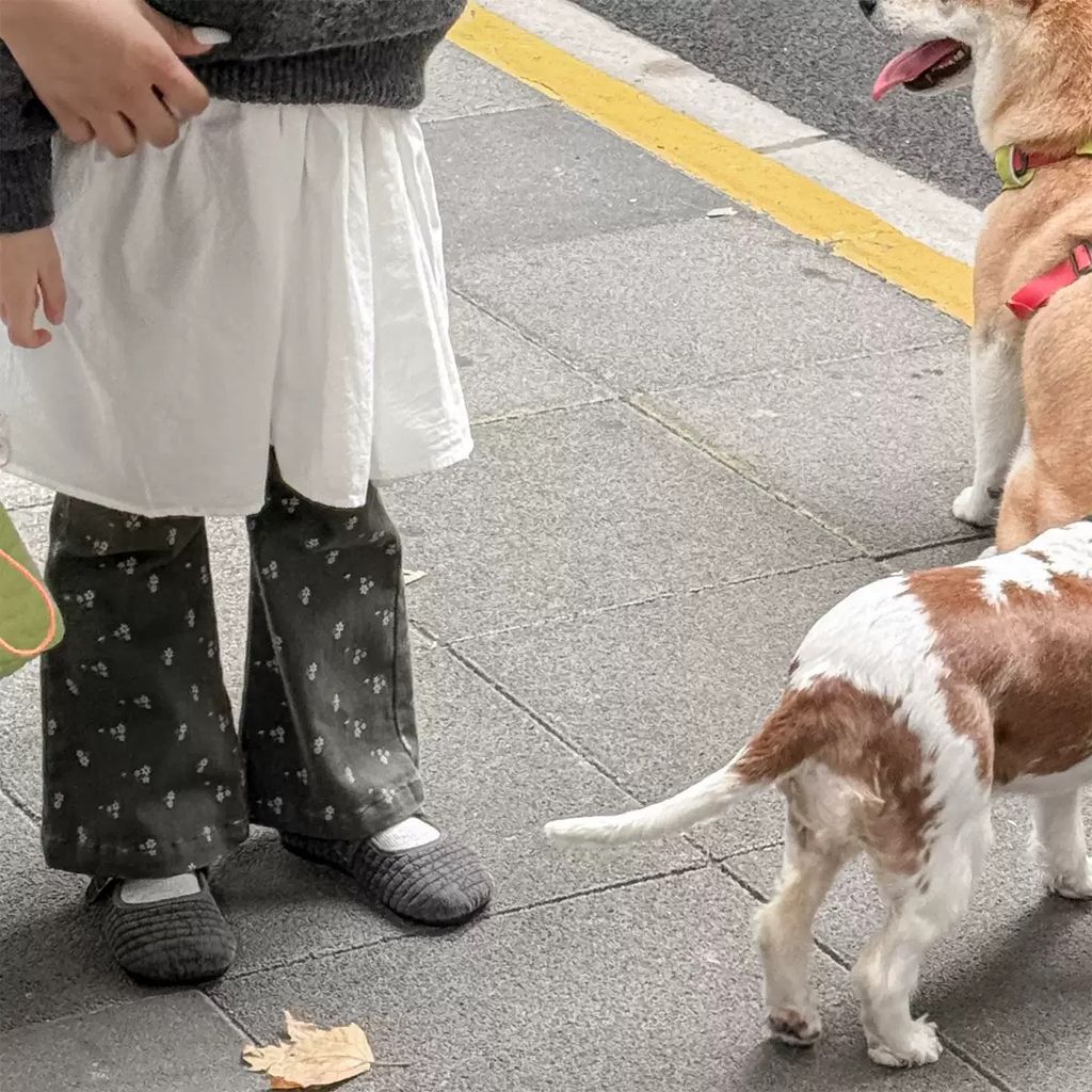 image_B8E343BE-65C8-4176-AABD-84D6673C4CFF_1757355730