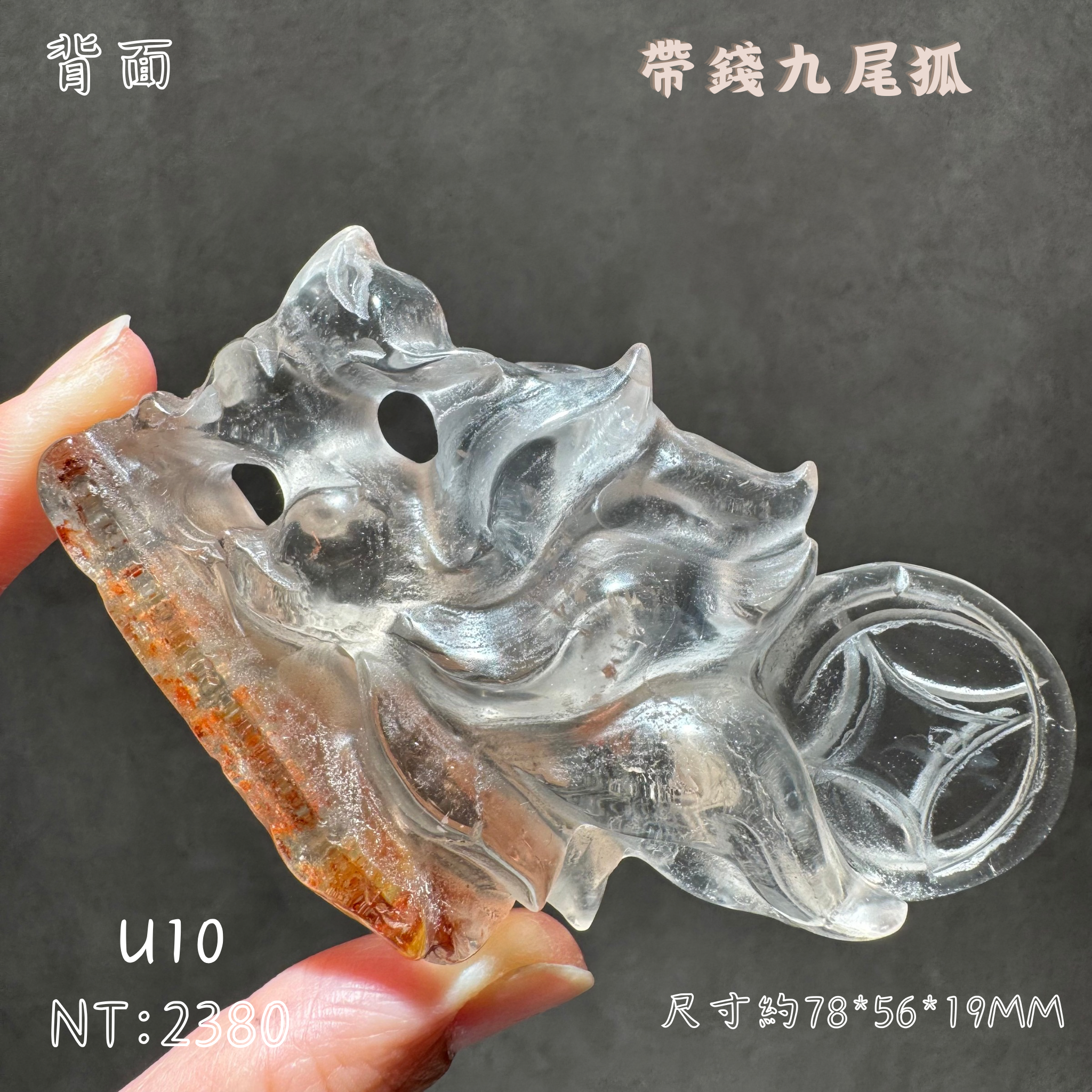 S__134447115_0