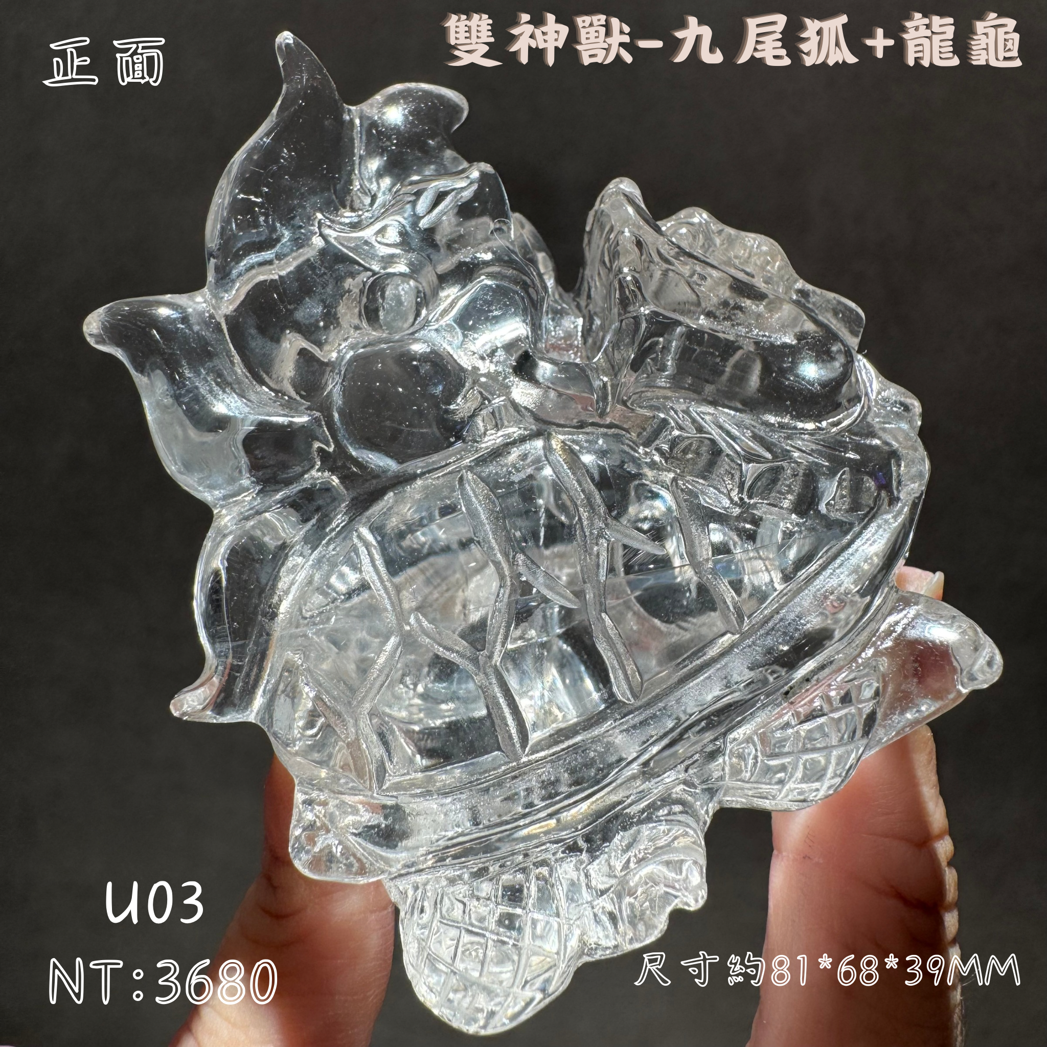 S__134447108_0