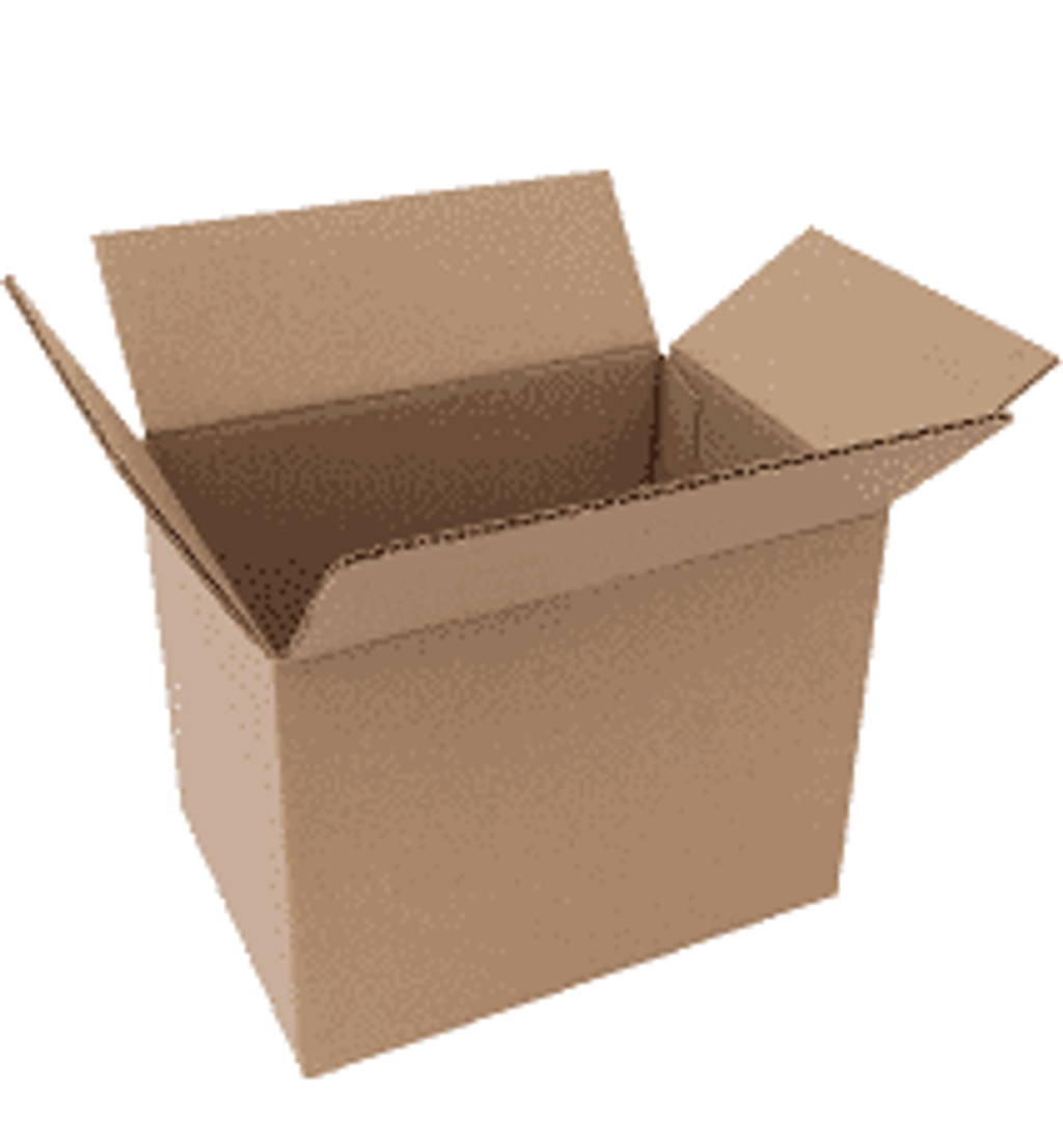 CARTON BOX.png