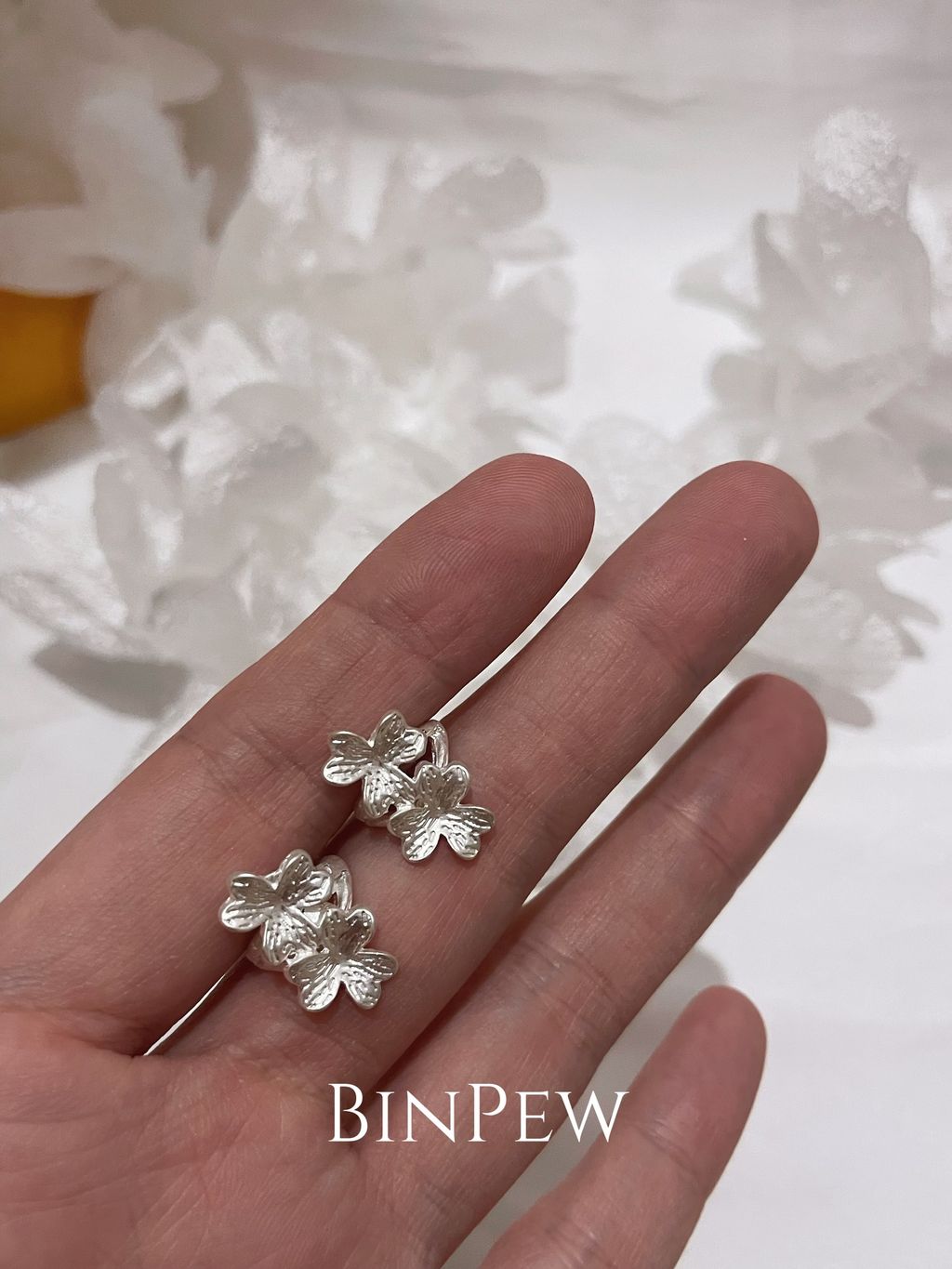 image_BC564270-2F52-4934-9E6B-94888A464366_1767253211