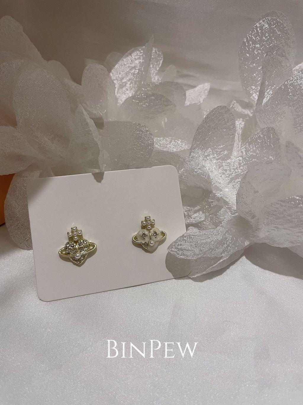 image_CD6C0889-700B-4BB4-BB01-F4D2882E138F_1767254887