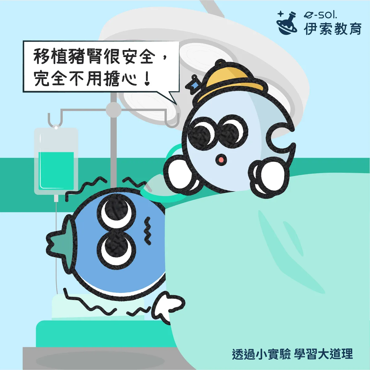 【🐷豬腎成功移植到人體身上了！🎊】