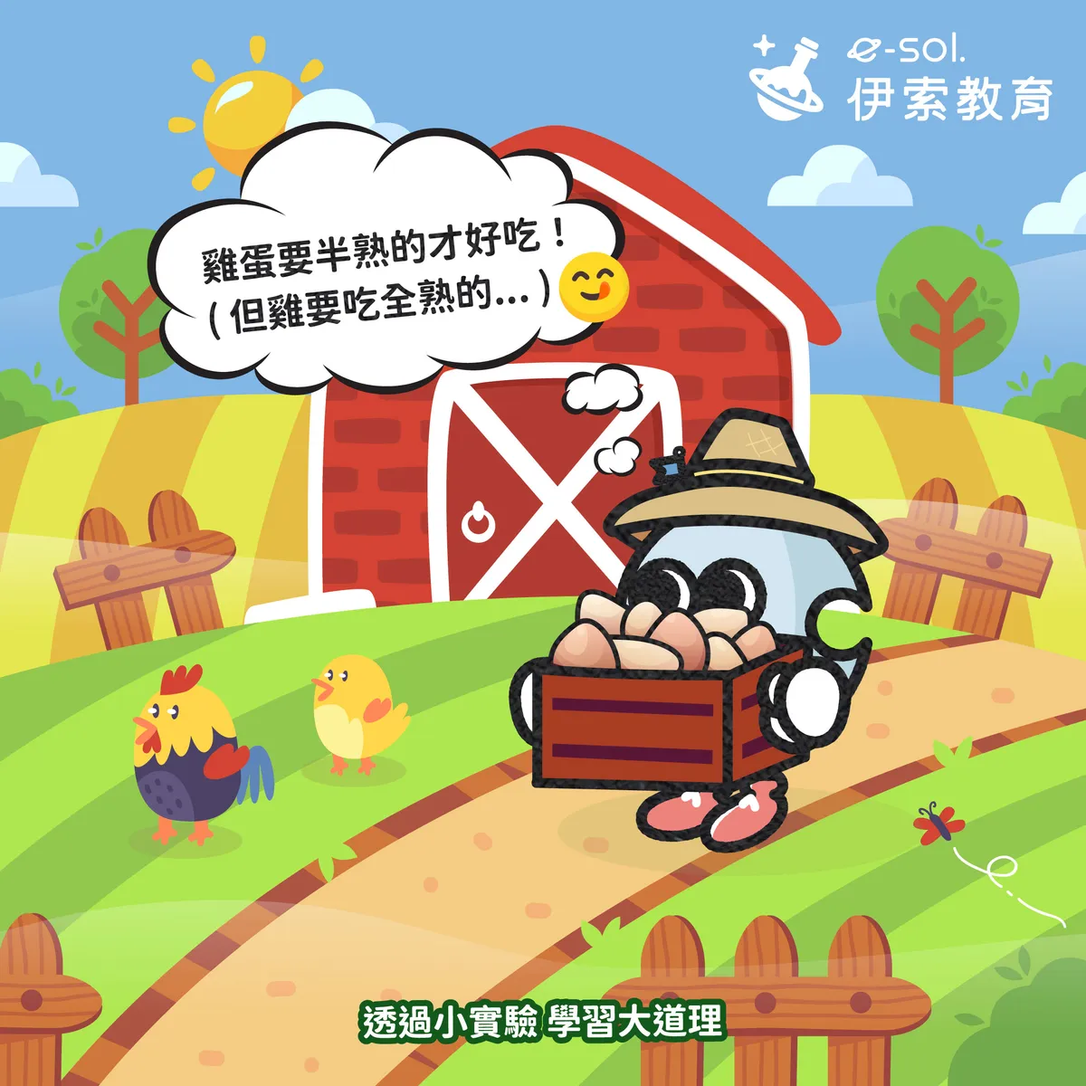 【一隻雞一年能下多少顆蛋？🐔🥚】