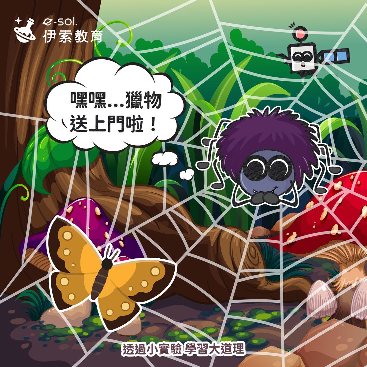 【蜘蛛不會被自己的網黏住？🕸️🕷️】